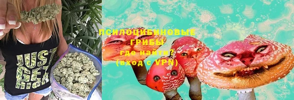гидропоника Арсеньев