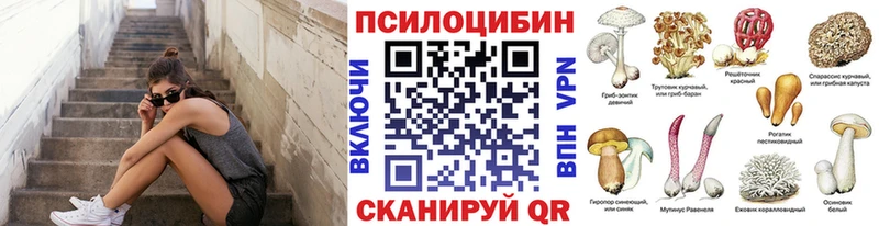 Галлюциногенные грибы Psilocybine cubensis Заречный