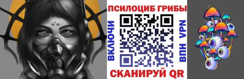Псилоцибиновые грибы Psilocybe  MEGA ссылка  Заречный 