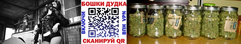 Каннабис SATIVA & INDICA  Заречный 